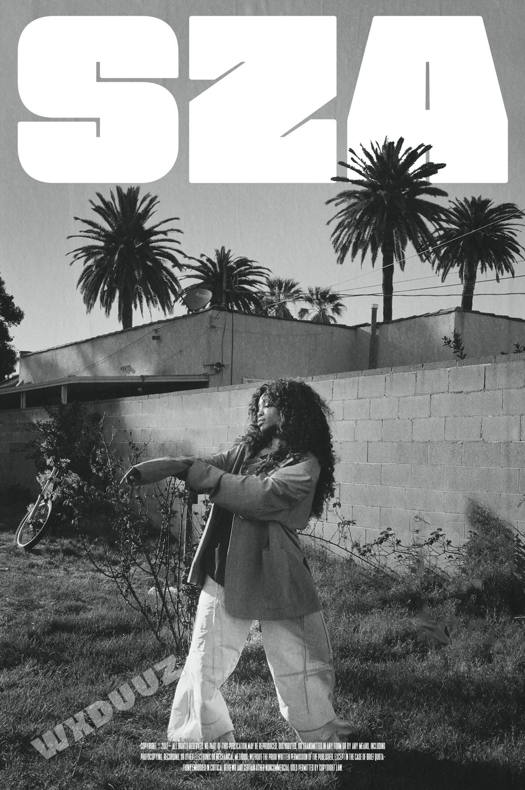 SZA Poster