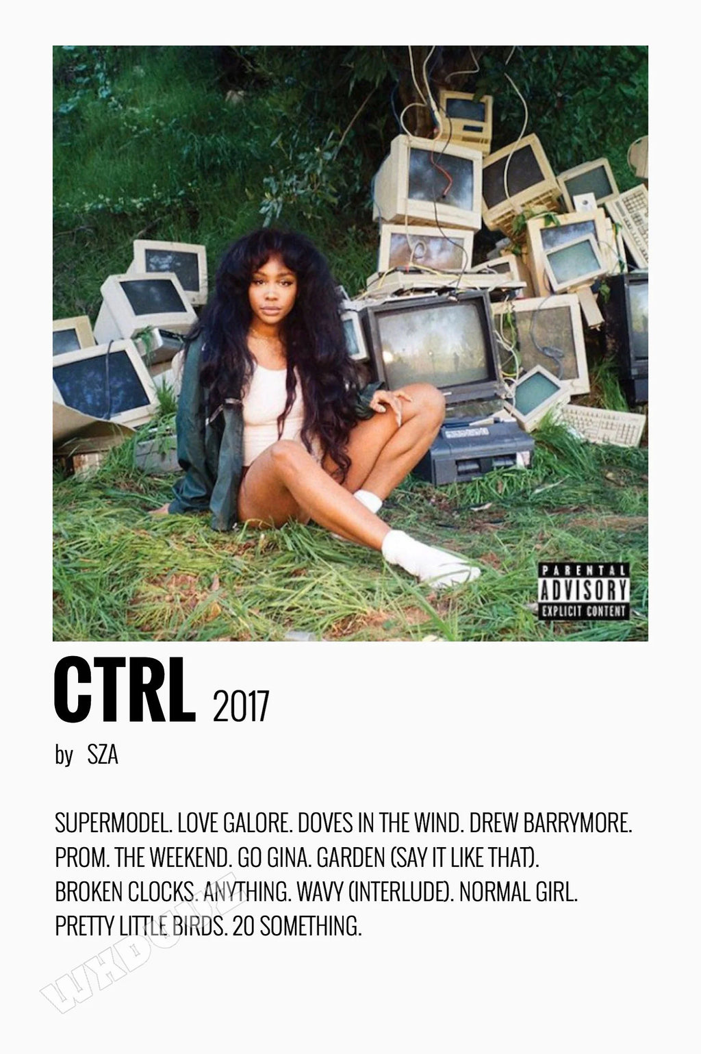 SZA Poster
